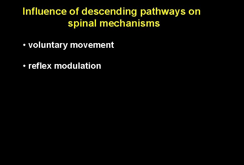 Influence of descending pathways on spinal mechanisms • voluntary movement • reflex modulation 