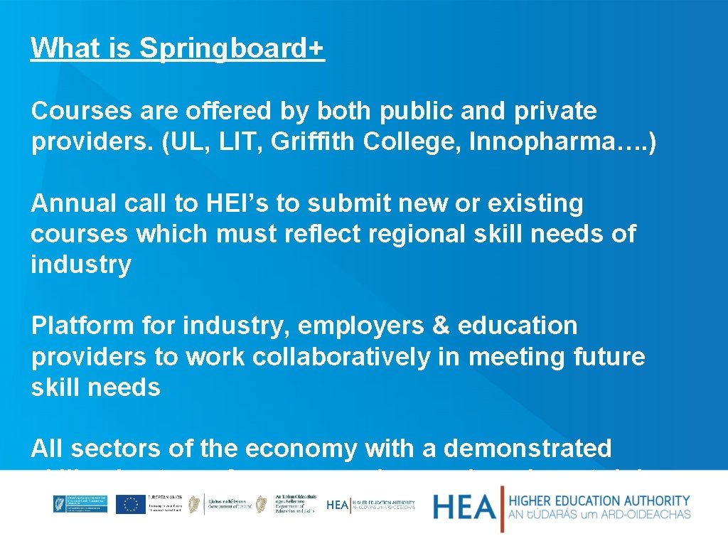 What is Springboard+ Courses are offered by both public and private providers. (UL, LIT,