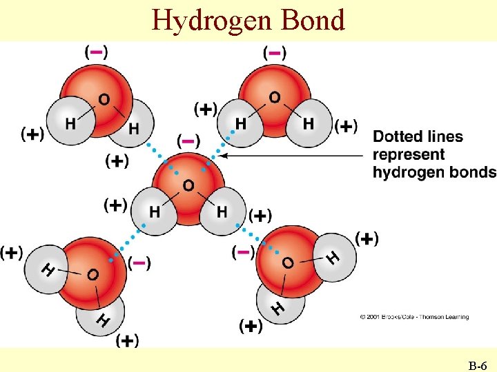 Hydrogen Bond B-6 