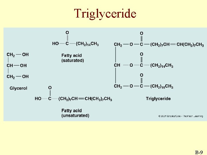 Triglyceride B-9 