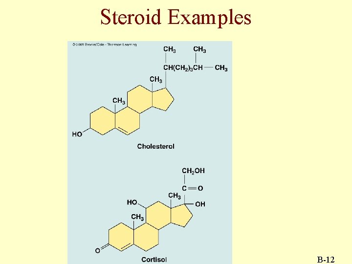 Steroid Examples B-12 