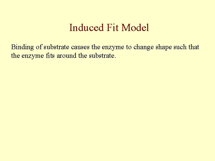 Induced Fit Model Binding of substrate causes the enzyme to change shape such that
