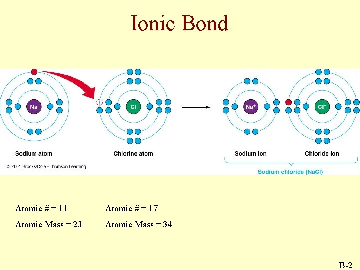 Ionic Bond Atomic # = 11 Atomic # = 17 Atomic Mass = 23