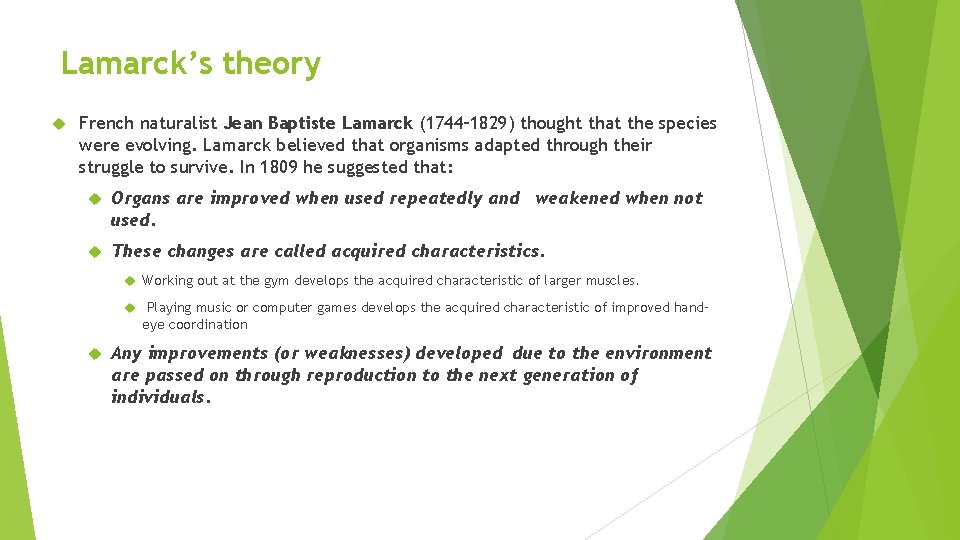 Lamarck’s theory French naturalist Jean Baptiste Lamarck (1744– 1829) thought that the species were