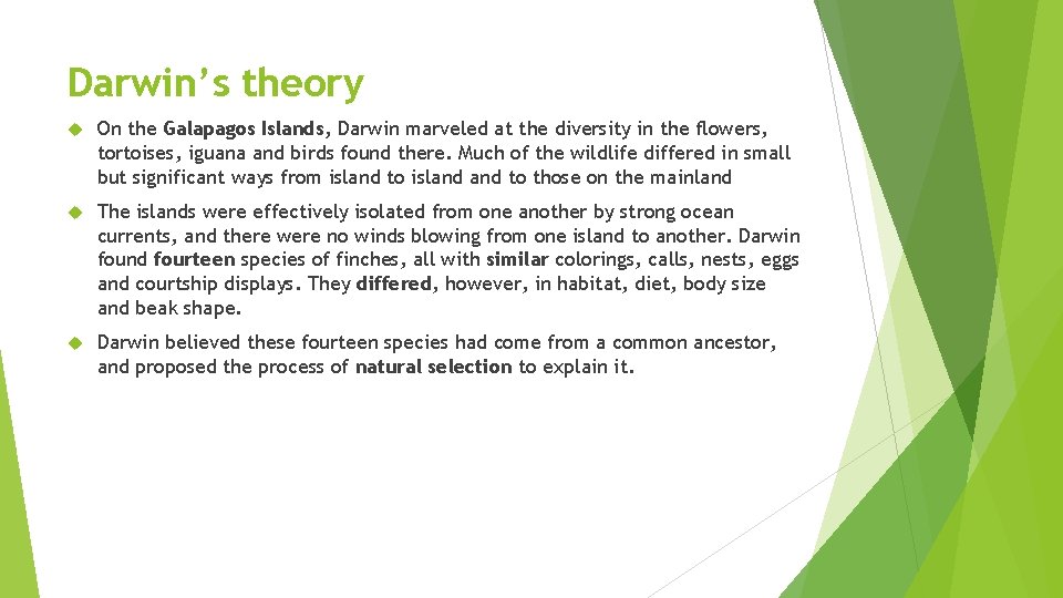 Darwin’s theory On the Galapagos Islands, Darwin marveled at the diversity in the flowers,