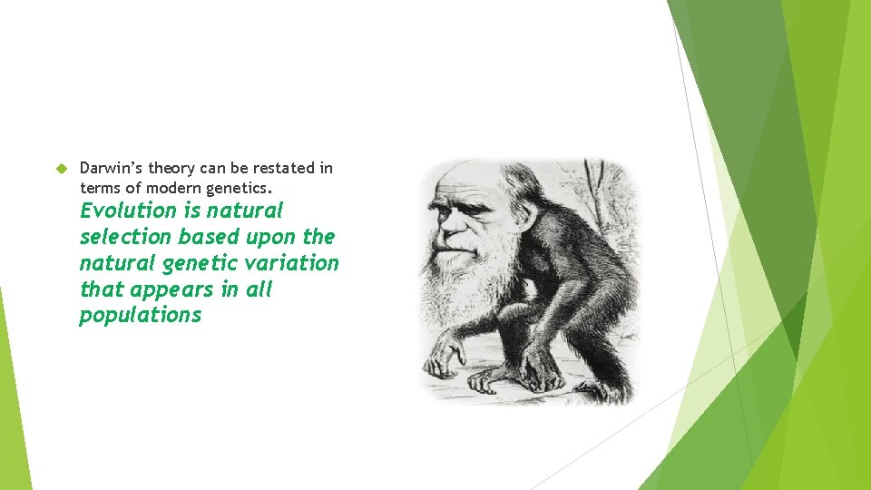  Darwin’s theory can be restated in terms of modern genetics. Evolution is natural