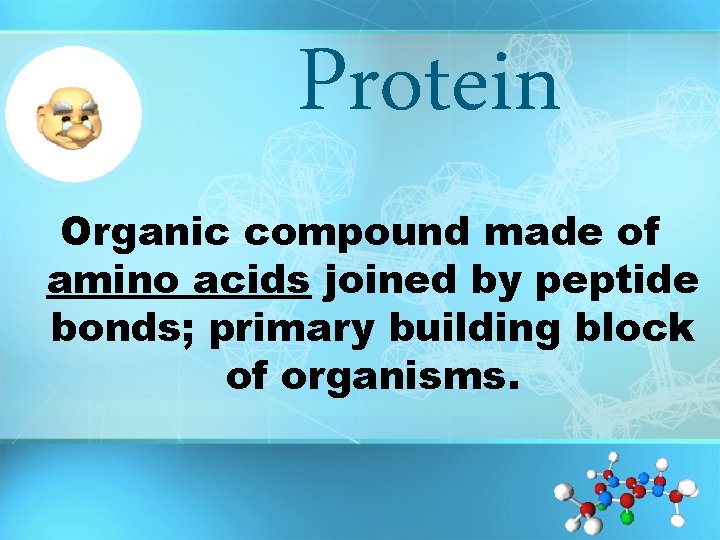 Protein Organic compound made of amino acids joined by peptide bonds; primary building block