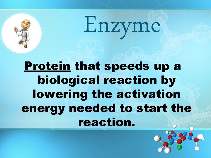 Enzyme Protein that speeds up a biological reaction by lowering the activation energy needed