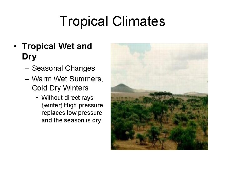 Tropical Climates • Tropical Wet and Dry – Seasonal Changes – Warm Wet Summers,