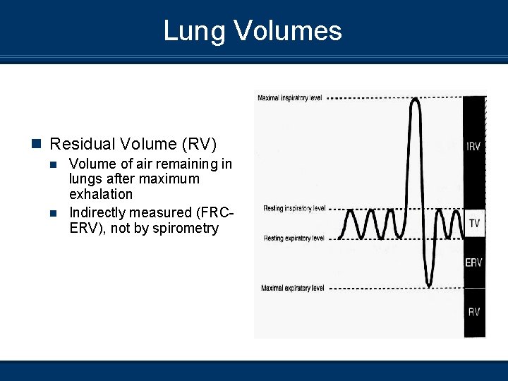 Lung Volumes n Residual Volume (RV) Volume of air remaining in lungs after maximum