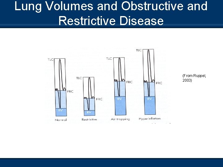 Lung Volumes and Obstructive and Restrictive Disease (From Ruppel, 2003) 
