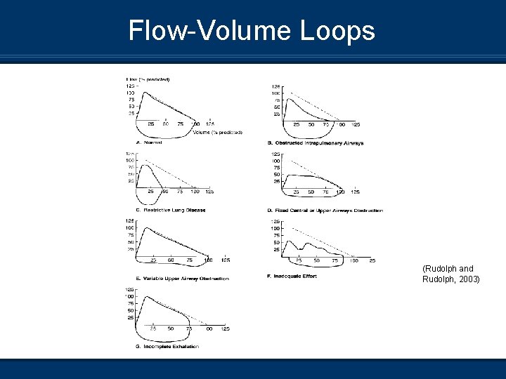 Flow-Volume Loops (Rudolph and Rudolph, 2003) 