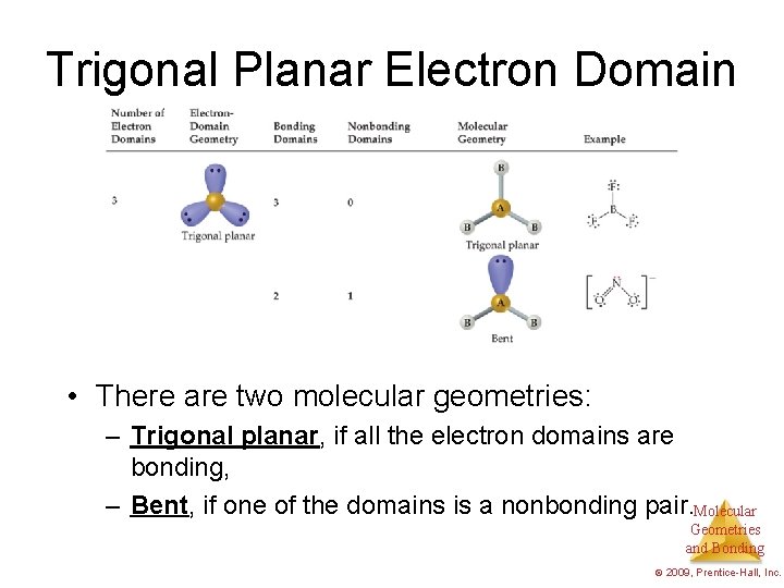 Trigonal Planar Electron Domain • There are two molecular geometries: – Trigonal planar, if
