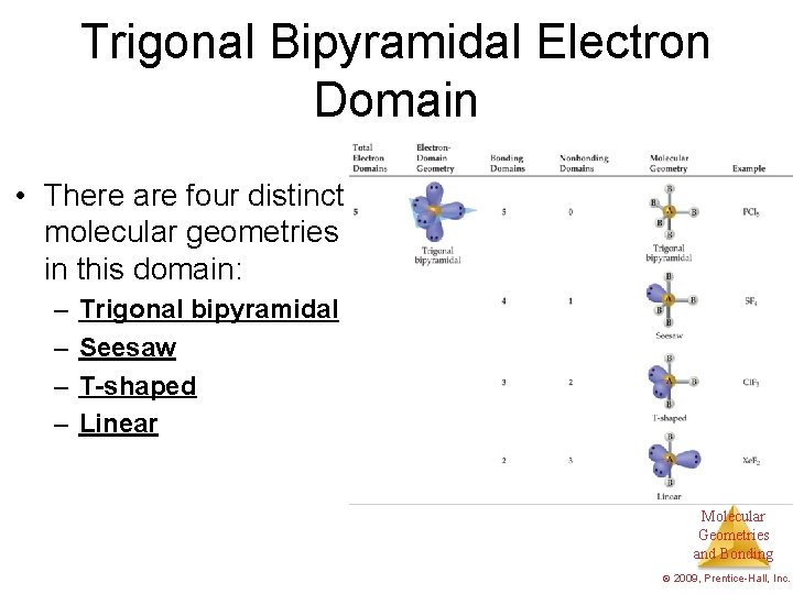 Trigonal Bipyramidal Electron Domain • There are four distinct molecular geometries in this domain: