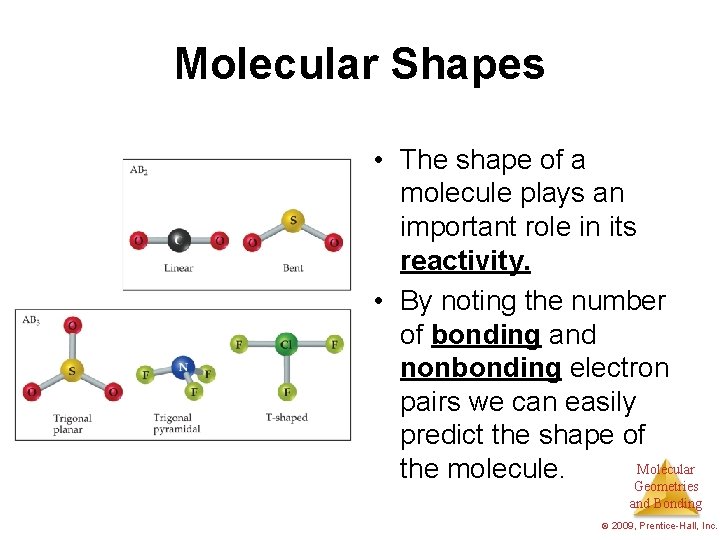 Molecular Shapes • The shape of a molecule plays an important role in its