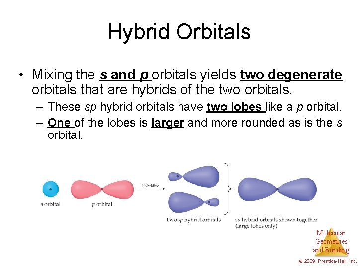 Hybrid Orbitals • Mixing the s and p orbitals yields two degenerate orbitals that