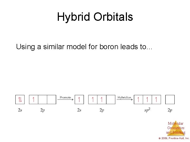 Hybrid Orbitals Using a similar model for boron leads to… Molecular Geometries and Bonding