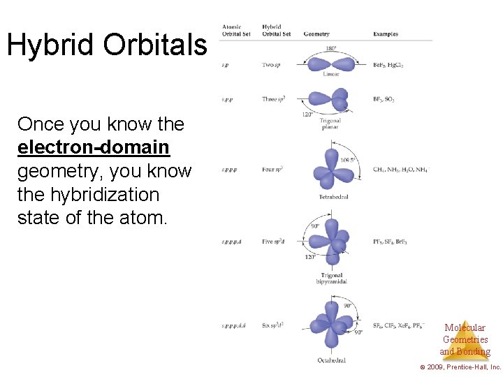 Hybrid Orbitals Once you know the electron-domain geometry, you know the hybridization state of