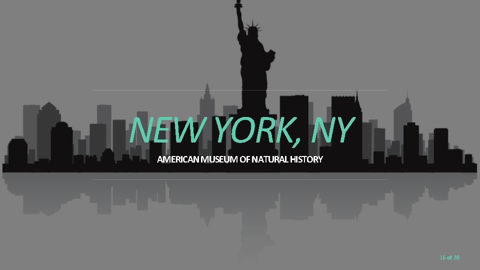 NEW YORK, NY AMERICAN MUSEUM OF NATURAL HISTORY 16 of 20 