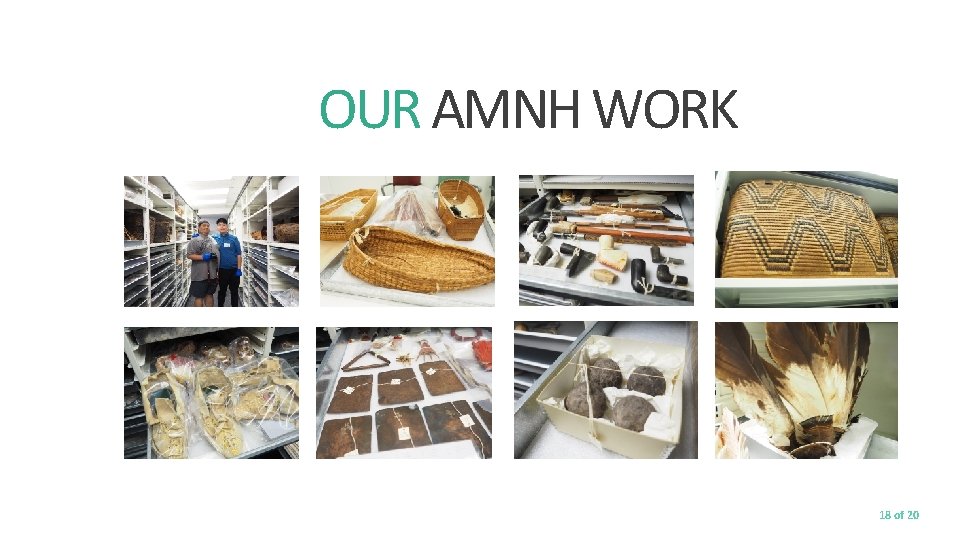 OUR AMNH WORK 18 of 20 