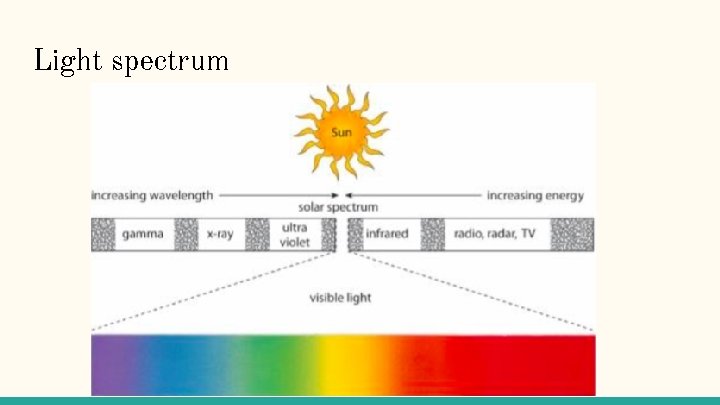 Photosynthesis Experiment The effect of color By Mikaela