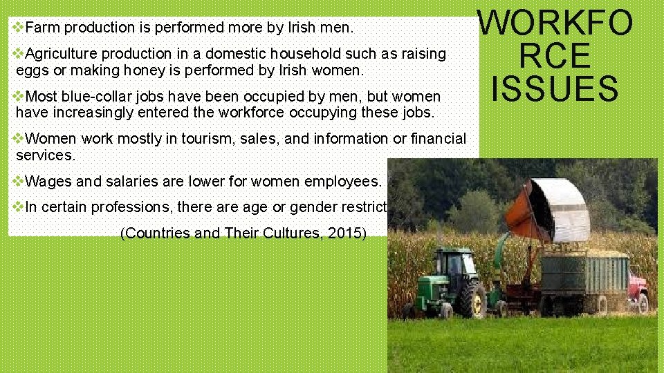 v. Farm production is performed more by Irish men. v. Agriculture production in a