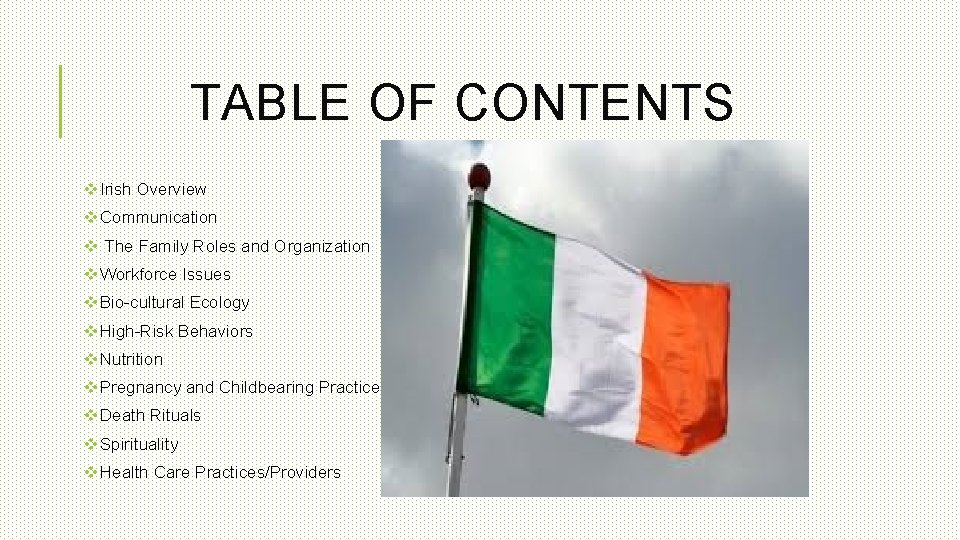 TABLE OF CONTENTS v. Irish Overview v. Communication v The Family Roles and Organization