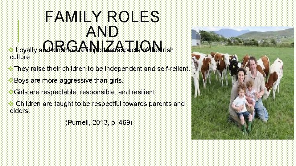 FAMILY ROLES AND ORGANIZATION v Loyalty and kinship are important aspects of the Irish