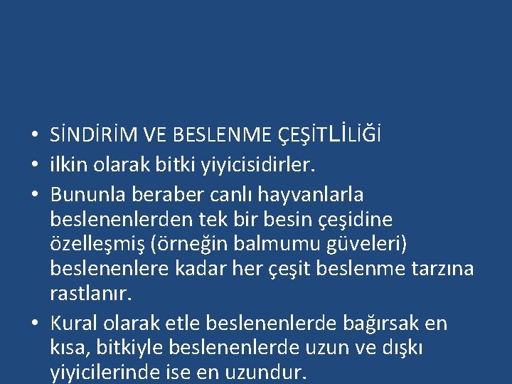  • SİNDİRİM VE BESLENME ÇEŞİTLİLİĞİ • ilkin olarak bitki yiyicisidirler. • Bununla beraber