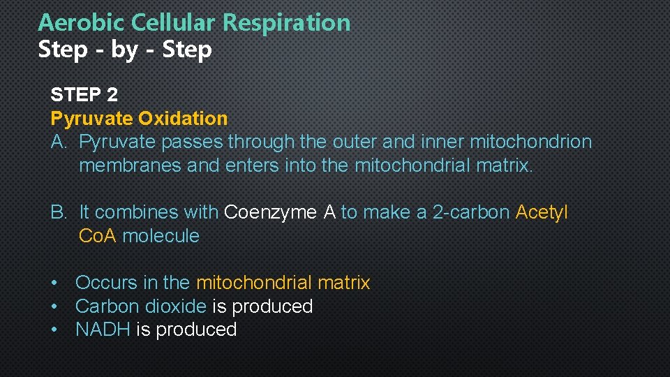 Aerobic Cellular Respiration Step - by - Step STEP 2 Pyruvate Oxidation A. Pyruvate