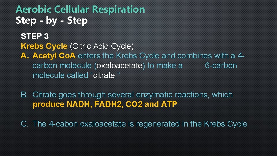 Aerobic Cellular Respiration Step - by - Step STEP 3 Krebs Cycle (Citric Acid