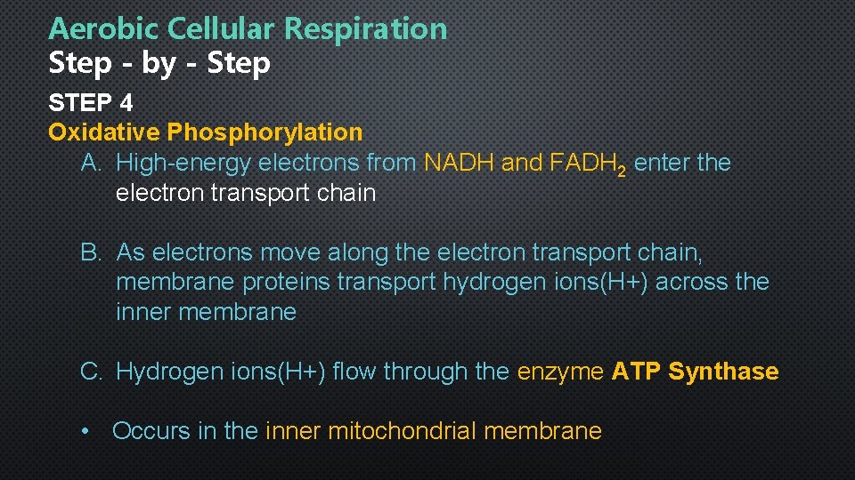 Aerobic Cellular Respiration Step - by - Step STEP 4 Oxidative Phosphorylation A. High-energy