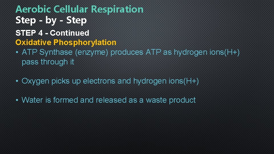Aerobic Cellular Respiration Step - by - Step STEP 4 - Continued Oxidative Phosphorylation