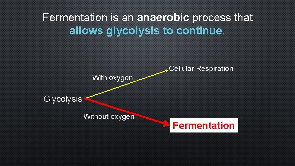 Fermentation is an anaerobic process that allows glycolysis to continue. Cellular Respiration With oxygen
