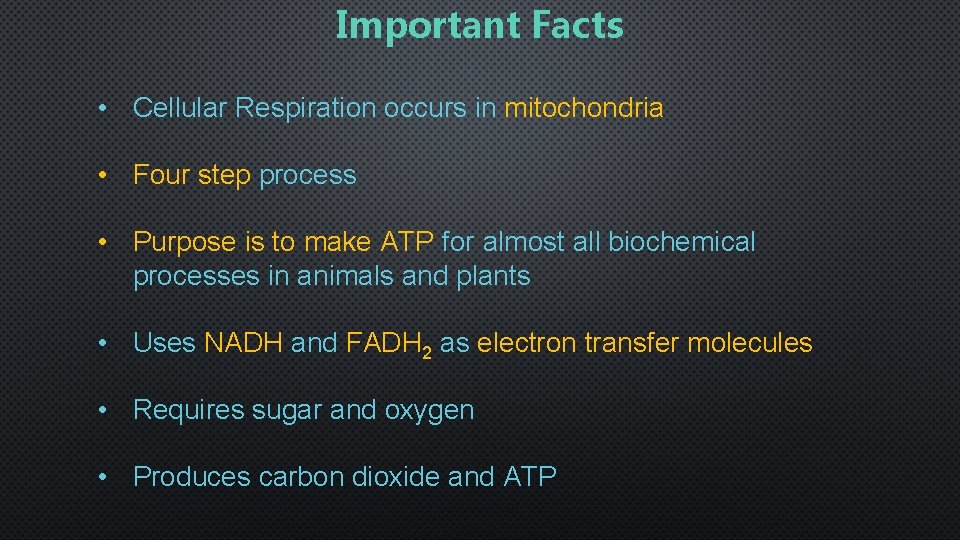 Important Facts • Cellular Respiration occurs in mitochondria • Four step process • Purpose