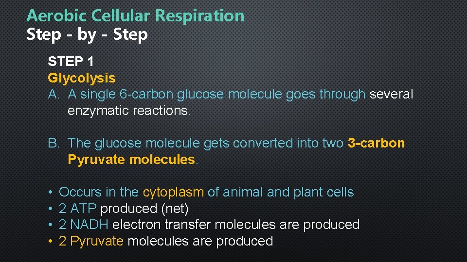 Aerobic Cellular Respiration Step - by - Step STEP 1 Glycolysis A. A single
