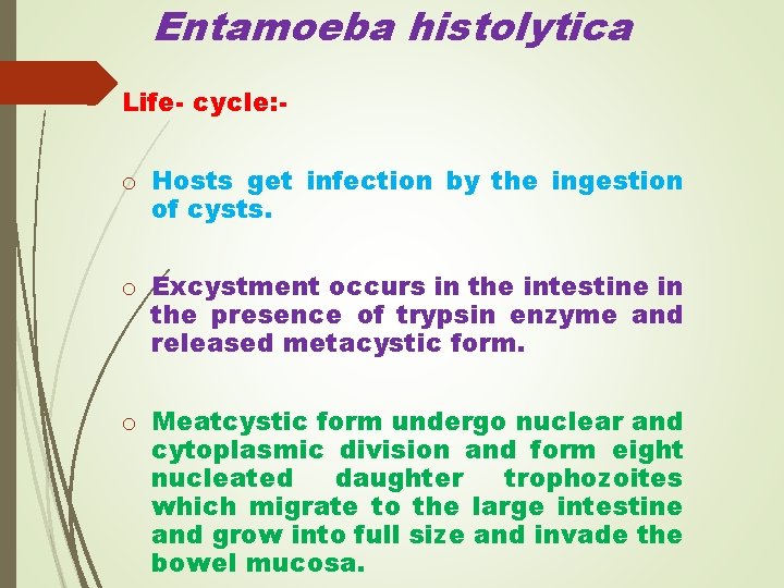 Entamoeba histolytica Life- cycle: - o Hosts get infection by the ingestion of cysts.