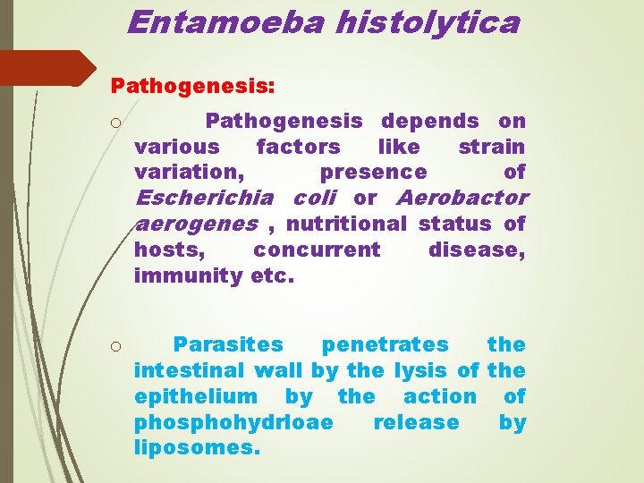 Entamoeba histolytica Pathogenesis: o Pathogenesis depends on various factors like strain variation, presence of