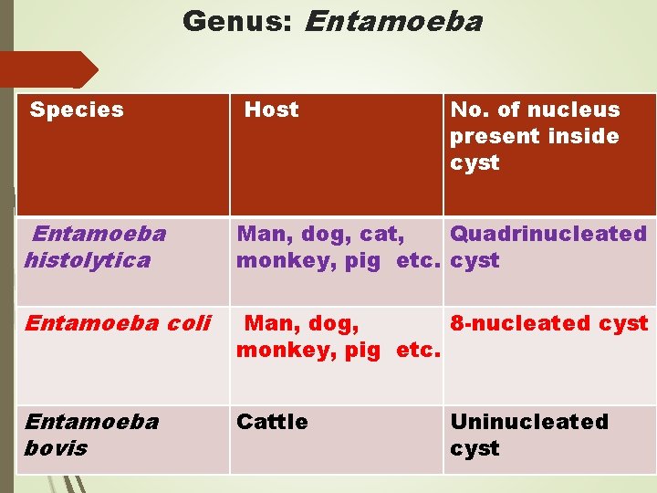 Genus: Entamoeba Species Host No. of nucleus present inside cyst Entamoeba histolytica Man, dog,