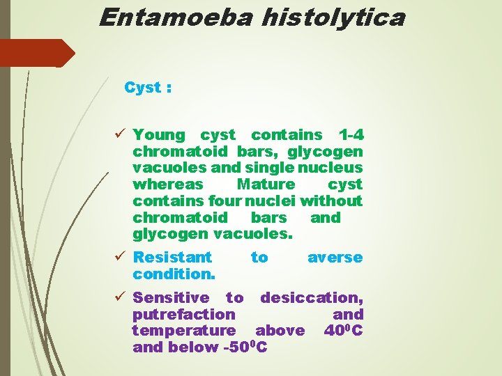 Entamoeba histolytica Cyst : ü Young cyst contains 1 -4 chromatoid bars, glycogen vacuoles
