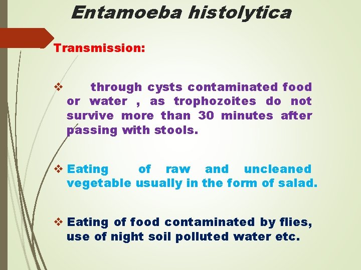 Entamoeba histolytica Transmission: v through cysts contaminated food or water , as trophozoites do