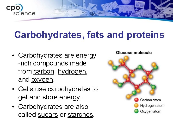 Carbohydrates, fats and proteins • Carbohydrates are energy -rich compounds made from carbon, hydrogen,