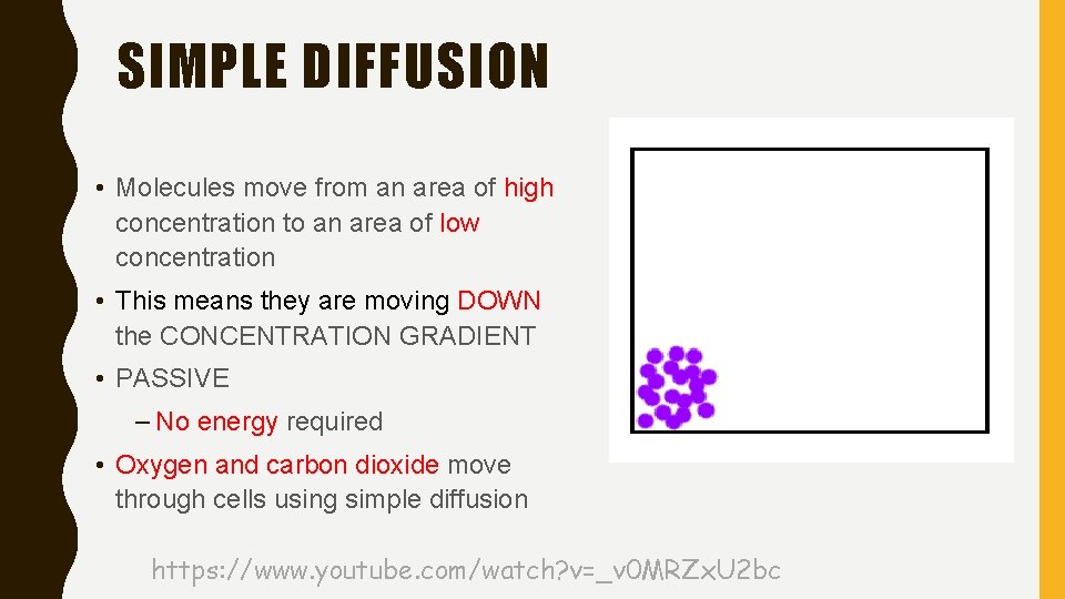 SIMPLE DIFFUSION • Molecules move from an area of high concentration to an area