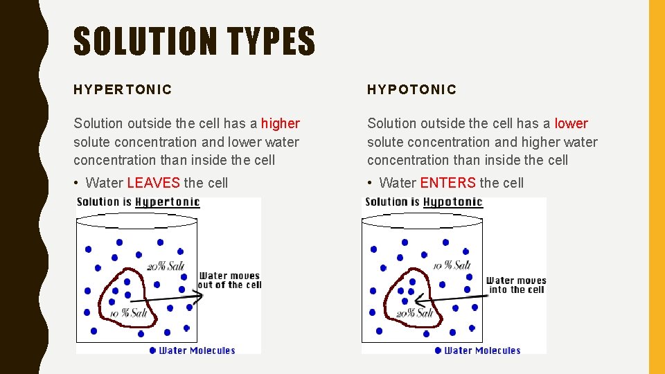 SOLUTION TYPES HYPERTONIC HYPOTONIC Solution outside the cell has a higher solute concentration and