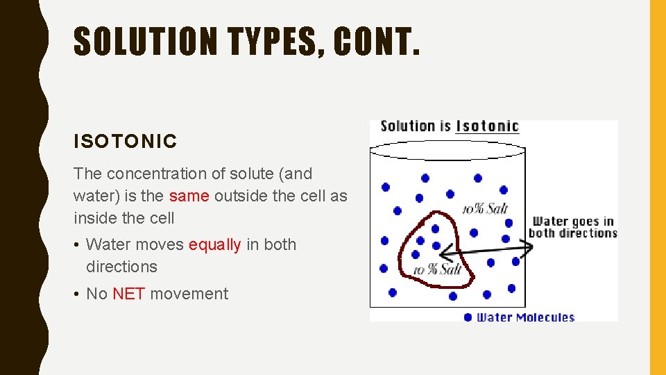 SOLUTION TYPES, CONT. ISOTONIC The concentration of solute (and water) is the same outside