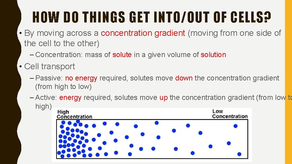 HOW DO THINGS GET INTO/OUT OF CELLS? • By moving across a concentration gradient
