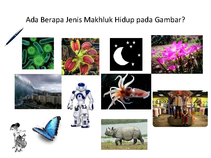 Ada Berapa Jenis Makhluk Hidup pada Gambar? 