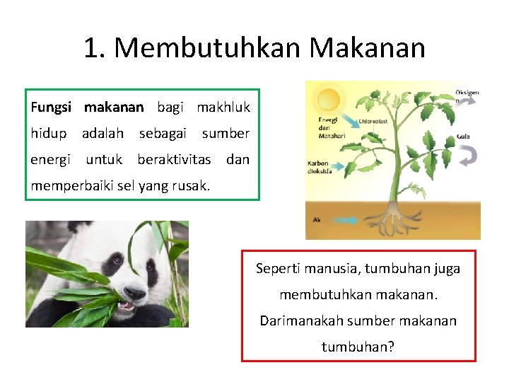 1. Membutuhkan Makanan Fungsi makanan bagi makhluk hidup adalah sebagai sumber energi untuk beraktivitas