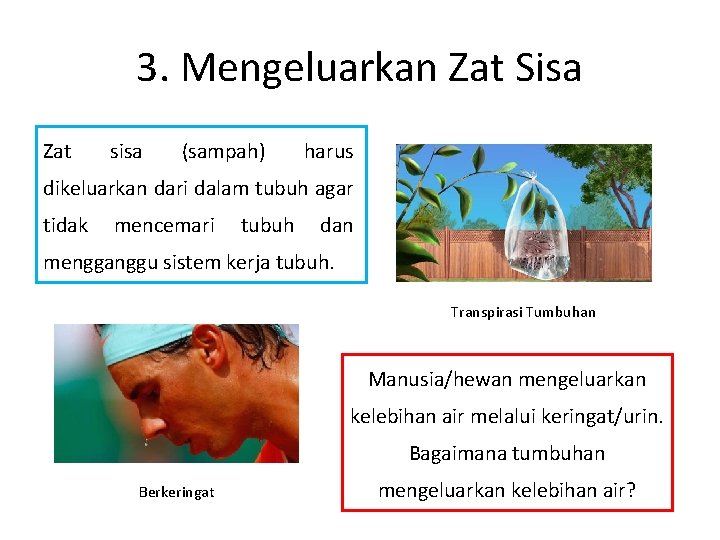 3. Mengeluarkan Zat Sisa Zat sisa (sampah) harus dikeluarkan dari dalam tubuh agar tidak