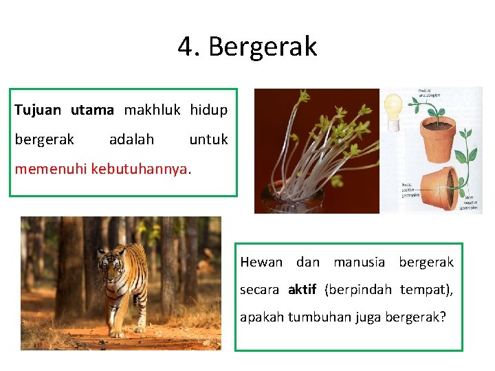 4. Bergerak Tujuan utama makhluk hidup bergerak adalah untuk memenuhi kebutuhannya. Hewan dan manusia